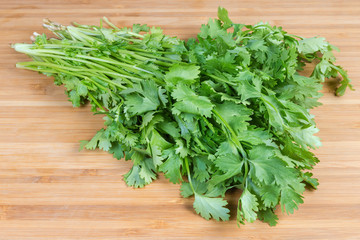 Bundle of fresh cilantro on wooden cutting board close-up