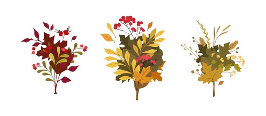 Autumn plants leaves flat vector compositions. Seasonal oak, maple tree multicolored foliage. Red dogrose hips, guelder berries. Blooming wildflowers, grass. Fall season herbarium backdrop