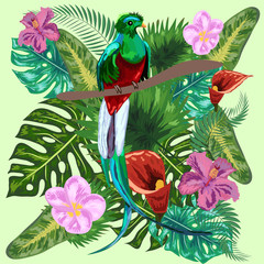 Green tropical bird Great resplendent quetzal sitting on a branch against the backdrop of a tropical foliage and flowers, design, rare, endangered species, red data book, security