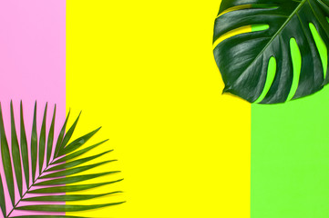 Fototapeta na wymiar Tropical palm leaves and monstera leaf on yellow green pink background. Flat lay, top view, copy space. Summer background, nature. Creative minimal background with tropical leaves. Leaf pattern
