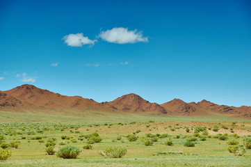 Typical Mongolian landscape
