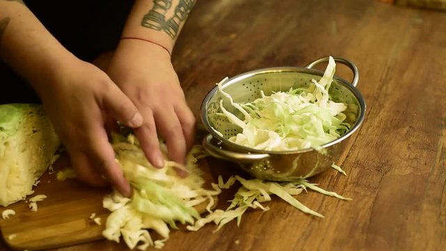 Col verdura ensalada repollo