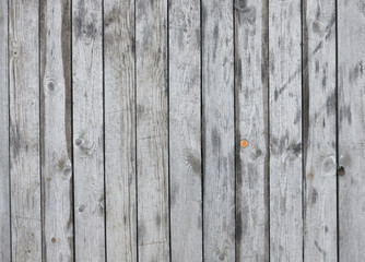 Background from old wood texture. Softwood boards. Annual rings and cuts from branches (knots) Beautiful, natural pattern. Summer, sunny day.
