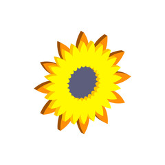 Sunflower.Isometric and 3D view.