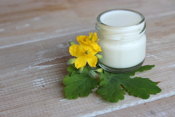 Fototapeta na wymiar Organic face cream with celandine flowers