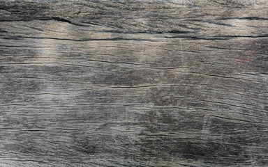 Fototapeta premium Wood texture background