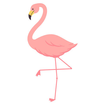 Cartoon flamingo vector illustration isolated on a white background.