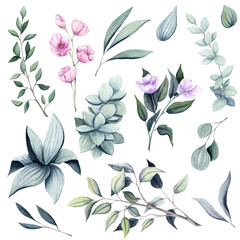 Set of Watercolor Pink Flowers and Leaves