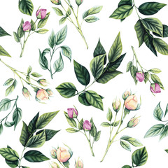 Seamless Pattern of Watercolr Foliage and Rose Buds