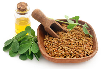 Fenugreek seeds with oil in bottle