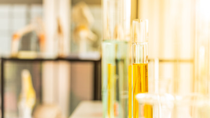Test tube and scientist equipment in modern science laboratory
