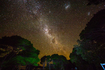 New Zealand Night sky