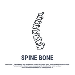 Vector icon. Line design. Spine bones and structure. Medicine and anatomy. Anatomical structure of man. Symbol, element, sign, logo, emblem. Concept illustration.