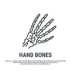 Vector icon. Line design. Skeleton hand. Medicine and anatomy. Anatomical structure of man. Symbol, element, sign, logo, emblem. Concept illustration.