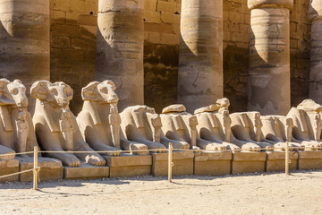 Avenue of the ram-headed Sphinxes in a Karnak Temple. Luxor, Egypt