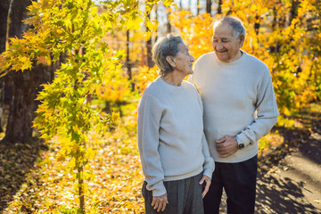 Happy senior citizens in the autumn forest. family, age, season and people concept - happy senior couple walking over autumn trees background
