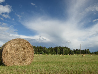 reel with grass on the field, autumn 