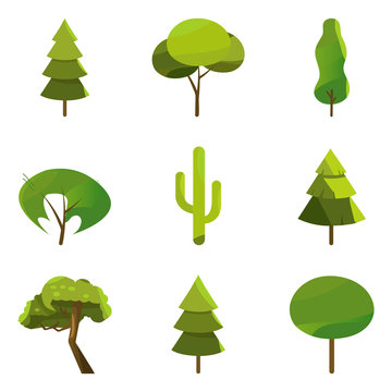 Collection of trees illustrations. Can be used to illustrate any nature or healthy lifestyle topic. - Vector. Pine and oak, evergreen plant illustration.