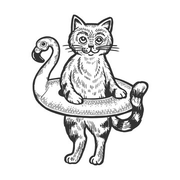 Cat in rubber ring for swimming sketch engraving vector illustration. Scratch board style imitation. Black and white hand drawn image.