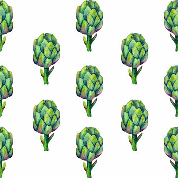 Artishock plant watercolor art illustration 