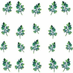 Parsley plant watercolor art illustration