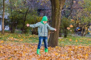 Boy play with maple leaves in park