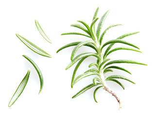 Rosemary leaves on white background