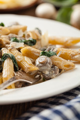 Penne pasta with spinach and mushrooms. Sprinkled with cheese.