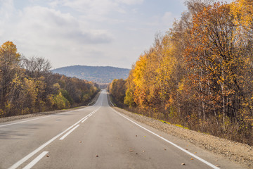 Fototapeta premium Amazing view with colorful autumn forest with asphalt mountain road. Beautiful landscape with empty road, trees and sunlight in in autumn. Travel background. Nature