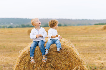 Naklejka na ściany i meble Photo of two little boys , sitting on a stack of hay, posing and looking away
