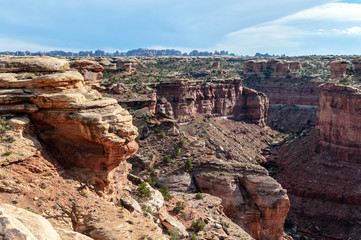 Fototapeta na wymiar Landscape along the Lost Canyon Loop Trail. The Needles Area, Canyonlands National Park, Utah.