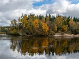 The river bank has grown up with beautiful colorful trees -