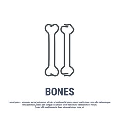 Vector icon. Line design. Bone. Medicine and anatomy. Anatomical structure of man. Symbol, element, sign, logo, emblem. Concept illustration.