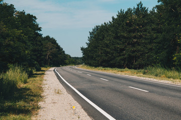 The long empty road in the full forest on the way