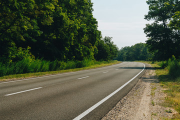 Fototapeta premium The long empty road in the full forest on the way