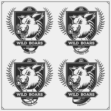 Volleyball, basketball, soccer and football logos and labels. Sport club emblems with wild boar. Print design for t-shirt.