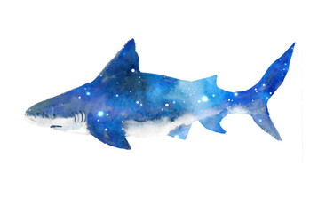 Watercolor cute whale. Shark illustartion