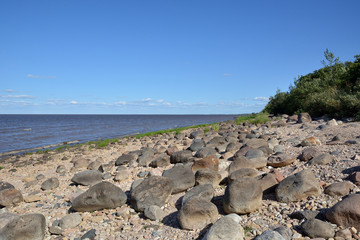 Summer landscape lake with rocky shore and blue sky on a sunny day. Lake Ilmen, Novgorod region, Russia