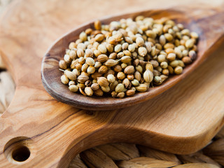 Indian Spices -  Coriander Seeds macro on wooden spoon.