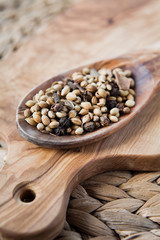 Whole Garam Masala - Indian spices on wooden spoon