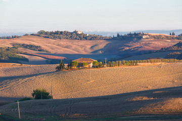 Typical autumn rural landscape in sunset , Tuscany, Italy