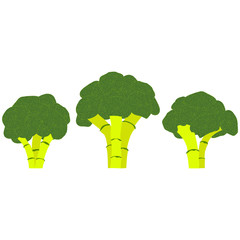 A set of three broccoli inflorescences isolated on a white background. Vector illustration. - 278519049