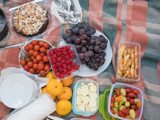 Picnic table, food served outdoors on the fabric picnic cloth. Close up, top view. Fresh vegetables and fruits, grapes, orange, raspberry, cheese sticks, cookies and cake for dessert.
