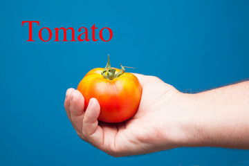 Fototapeta na wymiar Tomate rojo en la mano. Tomate sobre fondo azul; tomate ecológico. Tomate sano y saludable cultivado de forma ecológica.