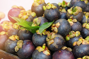 Closed up mangosteen (tropical fruit) on sales in the market.  ,Thai fruit