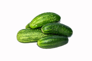 Fresh cucumber from garden bed isolated on white background