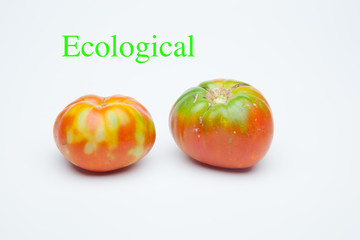Tomate maduro sobre fondo liso