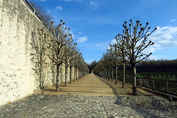 Fototapeta premium Perspective on a promenade