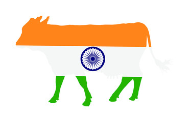 Indian flag over cow vector isolated. India holy animal symbol. 