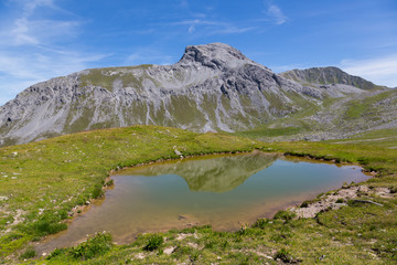 Fototapeta na wymiar Furggahorn mountain near Arosa in summer, green meadow